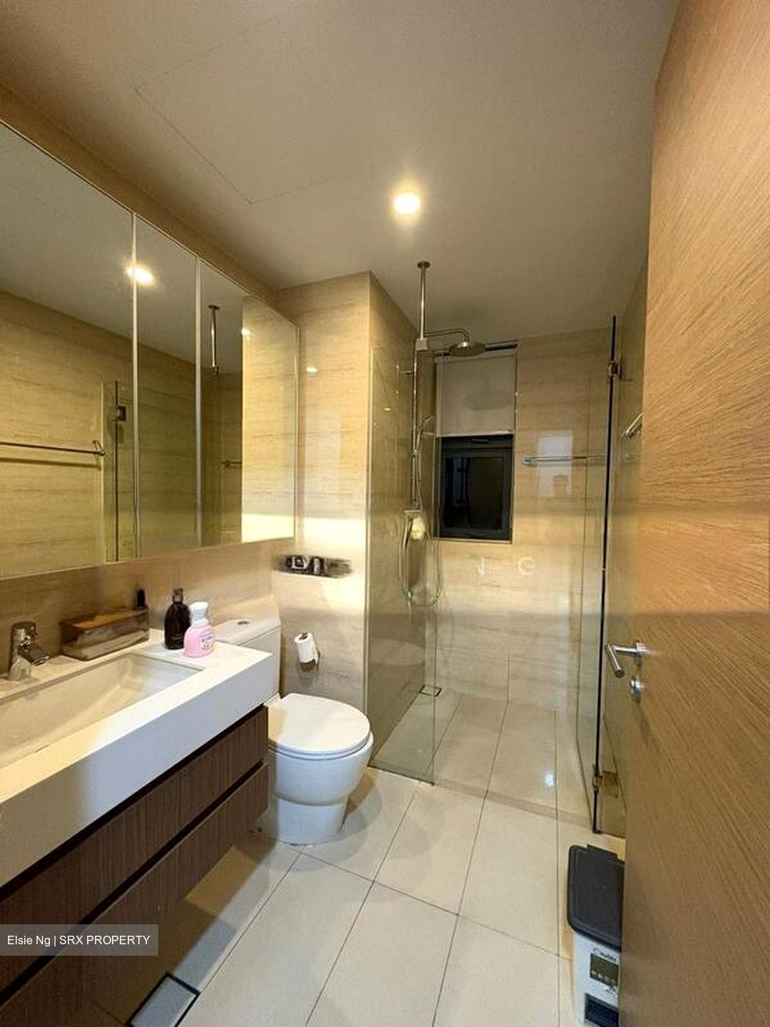 The Palette (D18), Condominium #502483121